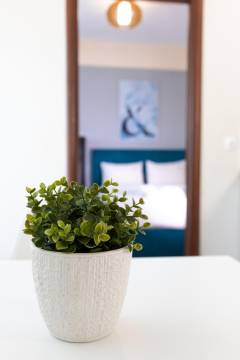 image-slider-with-thumbnail7.jpeg